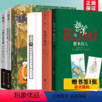 [正版]鲁米灵性诗集全6册 醒来的人+在春天走进果园+偷走睡眠的人+万物生而有翼+让我们来谈谈我们的灵魂 +火苏菲派