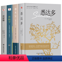 [正版]平装赫尔曼黑塞作品集全4册 德米安:彷徨少年时+荒原狼+在轮下+悉达多 诺贝尔文学奖得主纪念碑式名作德文原版翻