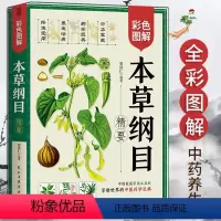 [正版] 本草纲目(精要) 全彩图解 贺济仁/编著 中国家庭常用工具书 享誉世界的中医药巨典 慧田L
