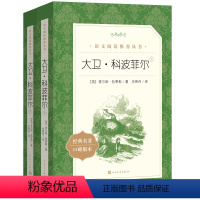 大卫·科波菲尔[上下册] [正版]大卫科波菲尔(上下)2册 经典名著口碑版本L