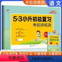 小升初总复习-语文 小学升初中 [正版]2023版5.3小升初总复习考前讲练测语文数学英语六年级期中期末复习检测卷小学升