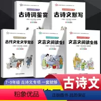 初中古诗文专项联系 全五本 [正版]初中古诗文专项训练古诗文鉴赏+古诗文默写+古代文化文学常识+文言文阅读全解+文言文阅