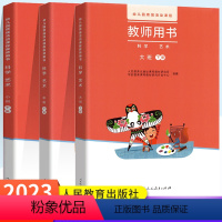 3本套装 [正版]2023版幼儿园领域活动课程 教师用书(科学 艺术)小班 中班 大班 下册 幼儿园小朋友科学探知数学认