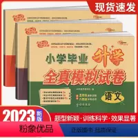 语数英[3本] 小学升初中 [正版]2023新版助学图书一线名师冲刺名校小学毕业升学全真模拟试卷语文数学小升初英语总复习