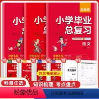 语文英语[人教版]+数学[通用] 小学升初中 [正版]2023版实验班小学毕业总复习语文数学英语人教版小学六年级下册小学