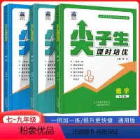 尖子生 课时培优[数学] 七年级/初中一年级 [正版]2023版奥赛王数学尖子生课时培优初中七年级八年级九年级数学培优训