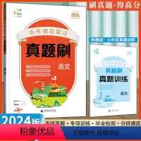 小升初总复习真题刷[语文] 小学升初中 [正版]一起同学2024小升初总复习真题刷语文数学英语小学毕业真题卷小学学业水平