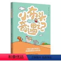 小布头奇遇记 [正版]小布头奇遇记名家名篇版春风文艺出版社孙幼军