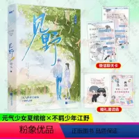 [正版]见野完结篇下册2 高人气作者宁雨沉高甜青春校园代表作 新增万字番外元气少女夏绾绾不羁少年江野 言情小说书籍