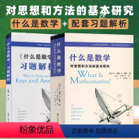 [正版]什么是数学+习题解析 什么是数学第四版配套习题解析 数学方法 对思想和方法的基本研究 罗宾 复旦大学出版社