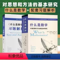 [正版]什么是数学+习题解析 什么是数学第四版配套习题解析 数学方法 对思想和方法的基本研究 罗宾 复旦大学出版社