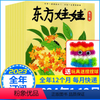 [全年订阅送玩具]智力版2024年1-12月 [正版]2023/2024全年订阅东方娃娃杂志绘本版+智力版2021/20
