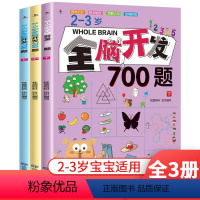 [2-3岁]共3册 全脑开发700题 [正版]2-3岁全脑开发700题全套3本幼儿益智书籍思维训练练习册宝宝全脑开发大书