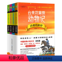 [正版]沈石溪动物小说全4册 台来花草原动物记牧羊犬赤那小火狐江秋消逝狼群草原犬赛汗4-6-8-10岁儿童课外书籍4-