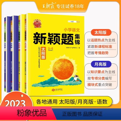 [通用版]太阳版语文数学+月亮版语文数学共4本 小学通用 [正版]王朝霞新颖题集锦太阳版知识大盘点语文数学四五六年级主题