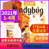 [正版]Ladybug瓢虫杂志2021年1-4月共4本打包 英文原版Cricket Media蟋蟀童书3-6岁幼儿学前