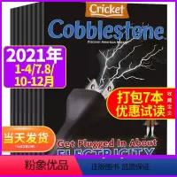 [共7本]2021年1-4/7.8/10-12月 [正版]Cobblestone鹅卵石杂志2022年2021年1-12月