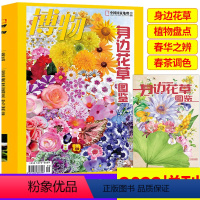 [正版]博物杂志博物2022年增刊 身边花草图鉴 中国国家地理杂志青少年儿童科普杂志订阅