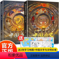 藏在地图里的中国历史 全2册 [正版]赠地图全2册 藏在地图里的中国历史 硬壳精装 8k大开本 3D视觉体验 青少年儿童