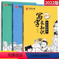 写字长知识·3本装(楷书) [正版]新版字帖 楷书写字长知识全套3本 通用版 写字长知识有料的国学有趣的历史有用的地理硬