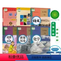 [正版]2024春湖南衡阳地区九年级下人教版语文+化学+历史+道德与法治+仁爱版英语+华师大版数学9年级下册初三下