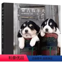 (精装绘本) 蒙古牧羊犬 [正版]tnsy蒙古牧羊犬 格日勒其木格·黑鹤儿童文学作家绘本儿童图画故事3-12岁摄影绘本展