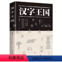 [正版]给孩子的汉字王国的故事 三四五六年级课外书必读收录数百个常用汉字详细介绍剖析了解汉字起源演变详细过程社会科学语