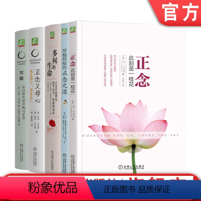 [正版]套装 卡巴金心理学作品集套装全5册 正念+多舛的生命+穿越抑郁的正念之道+正念父母心+觉醒 正念减压心灵疗愈心