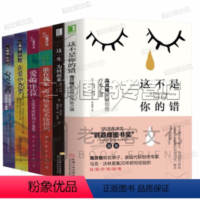 [正版]心理学书籍 海灵格心理疗愈法6册 这不是你的错 海灵格自传访谈录 谁在我家 爱的序位 活出内在的力量 心灵活泉
