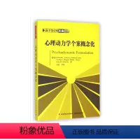 [正版]心理动力学个案概念化