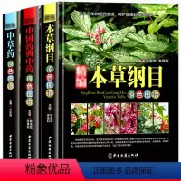 [正版]精编全3册 本草纲目李时珍 中国药典中药 中草药原色图谱 中医基础理论草药材大全泡酒药材草药方剂学古代医学百科