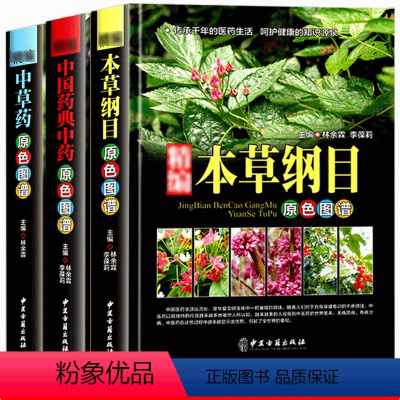 [正版]精编全3册 本草纲目李时珍 中国药典中药 中草药原色图谱 中医基础理论草药材大全泡酒药材草药方剂学古代医学百科