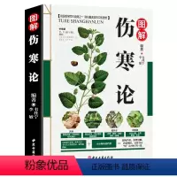 [正版]彩色图解伤寒论医学类中医经典著作黄帝内经伤寒杂病论张仲景金匮要略温病条辨本草纲目中医四大经典名著自学入门古籍医