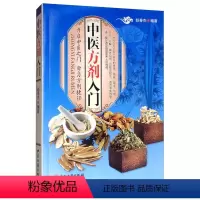 [正版]书籍 中医方剂入门 赵春燕 中医古籍出版社 医药卫生 9787515219004