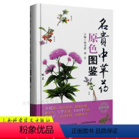 [正版]名贵中草药原色图鉴 中草药彩图大全书 全图鉴百草图鉴配方书本草纲目神农本草经 中医中成药中草药图谱经典古籍医书