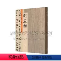 [正版]历代名家书法珍品 赵孟頫 书法爱好者临摹范本赏析 初学者入门零基础教程书籍 书法碑帖 经典 畅销 许裕长 编