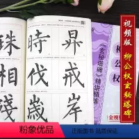 [正版]柳公权楷书玄秘塔碑教程精讲精练柳体施志伟编 入门运行笔法毛笔字帖 历代碑帖古籍毛笔初学者实用专业教程
