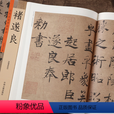 [正版]褚遂良 历代名家书法珍品 许裕长主编 中州古籍 超清原贴成人学生毛笔书法练字字帖作品临摹研究局部阴符经倪宽赞