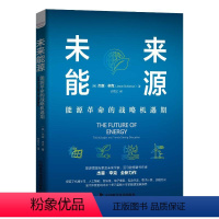 [正版]未来能源(能源革命的战略机遇期)(精) (美)杰森·辛克 著 孙克乙 译 经济理论、法规 经管、励志 中国科学