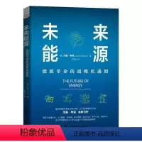[正版]未来能源(能源革命的战略机遇期)(精) (美)杰森·辛克 著 孙克乙 译 经济理论、法规 经管、励志 中国科学