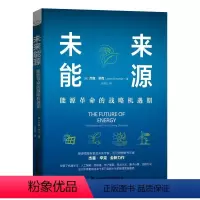 [正版]未来能源(能源革命的战略机遇期)(精) (美)杰森·辛克 经济理论、法规 经管、励志 中国科学技术出版社