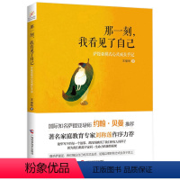 [正版]那一刻 我看见了自己 心灵与修养书籍 可搭遇见未知的自己 萨提亚模式心灵成长手记