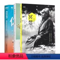 [正版]高效休息法+新世界+冥想共3册樊登读书会高效休息法世界精英科学正确的大脑休息心理酷炫脑联合心灵修养图书籍