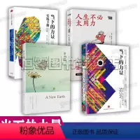 [正版]当下的力量埃克哈特托利作品4册全套 当下的力量实践手册 新世界灵性的觉醒 人生不必太用力 心灵与修养成成功励志
