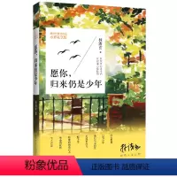 [正版]愿你,归来仍是少年 林清玄启悟人生系列 现当代文学散文随笔青少年经典文学小说 文学心灵与修养 当代散文集林清玄