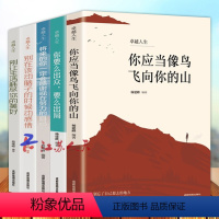 [正版]卓越人生 全5册 你应当像鸟儿飞向你的山 你要么出众 要么出局 将来的你一定会感谢现在努力的自己 青春励志成功