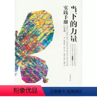 [正版]DD 当下的力量实践手册(白金版) 心灵与修养 出版