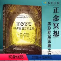 [正版]正念冥想带你穿越苦痛之路自我实现心灵修养沟通正念减压冥想书籍