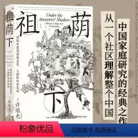 [正版]祖荫下 传统中国的亲属关系 人格和社会流动 智慧宫丛书024 文化研究社区研究 田野调查 社会学 书店书籍