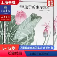 单册 [正版]一颗莲子的生命旅程 以国画绘出莲的生命轮回国风情怀自然科普绘本 系统讲述莲文化和莲的科学知识 陈莹婷 浪